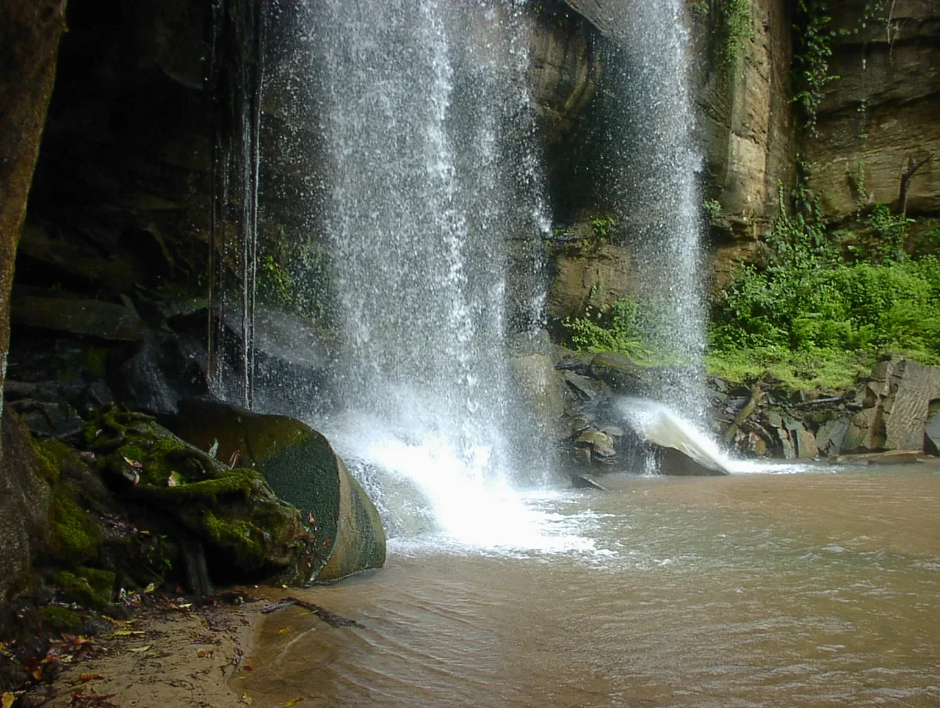 1-Day Shimba Hills Safari & Sheldrick Falls Hike