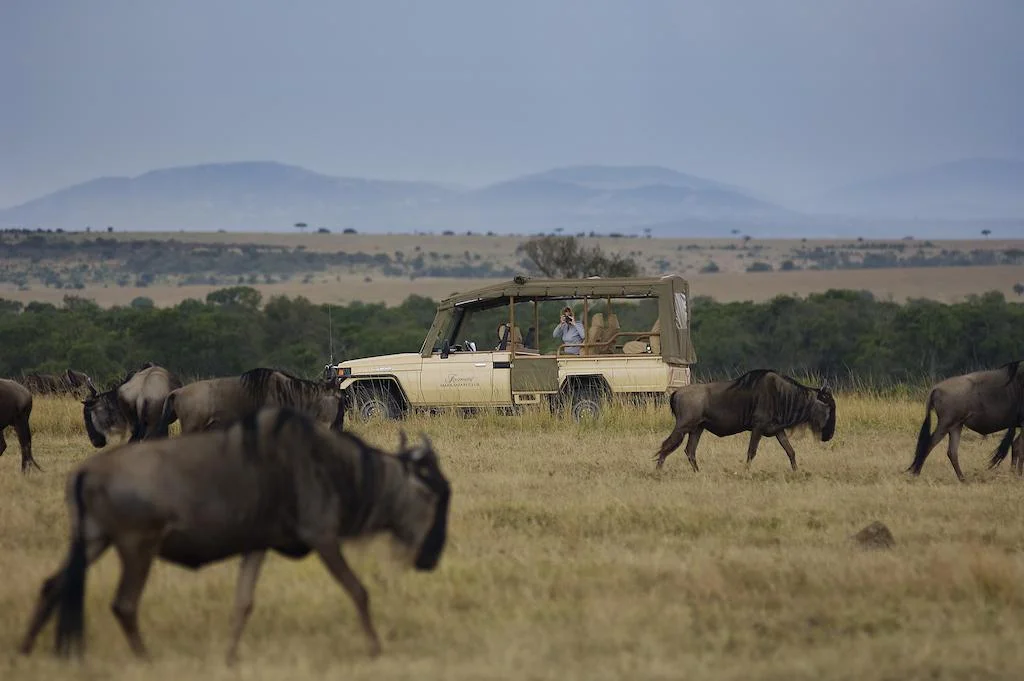 6-Day Amboseli, Rift Lakes & Maasai Mara Odyssey