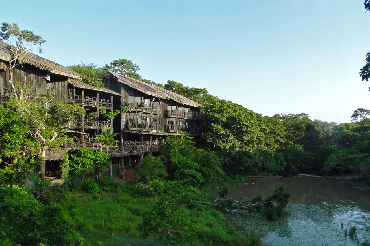 1-Day Shimba Hills Safari & Sheldrick Falls Hike