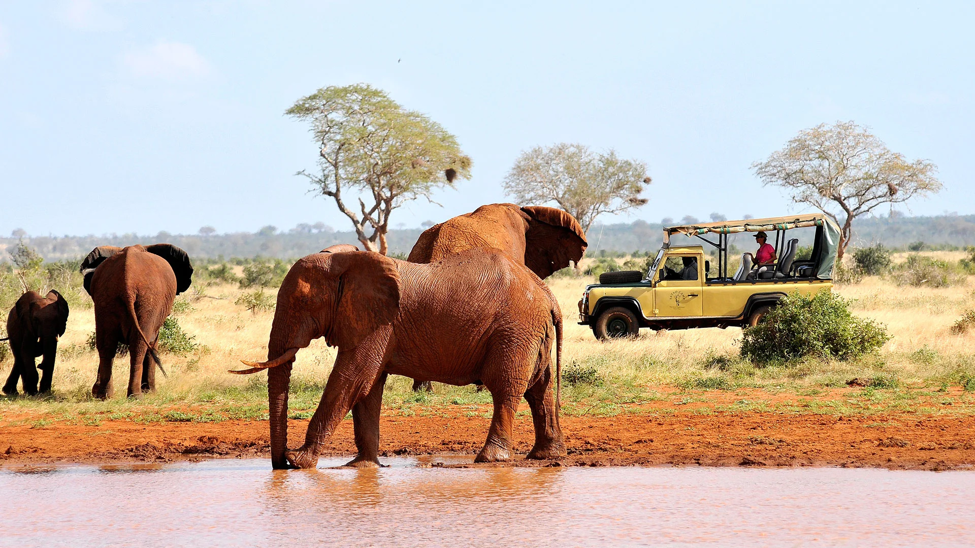 1-Day Tsavo East Express Safari