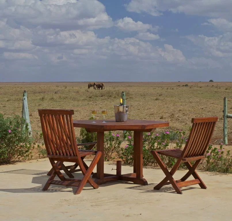 2D Tsavo East Aruba Red Elephant