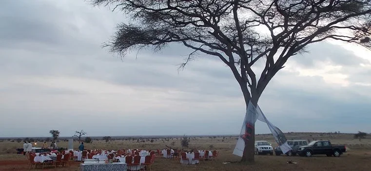 6D Southern Crown: Tsavo East, West, Amboseli & Salt Lick